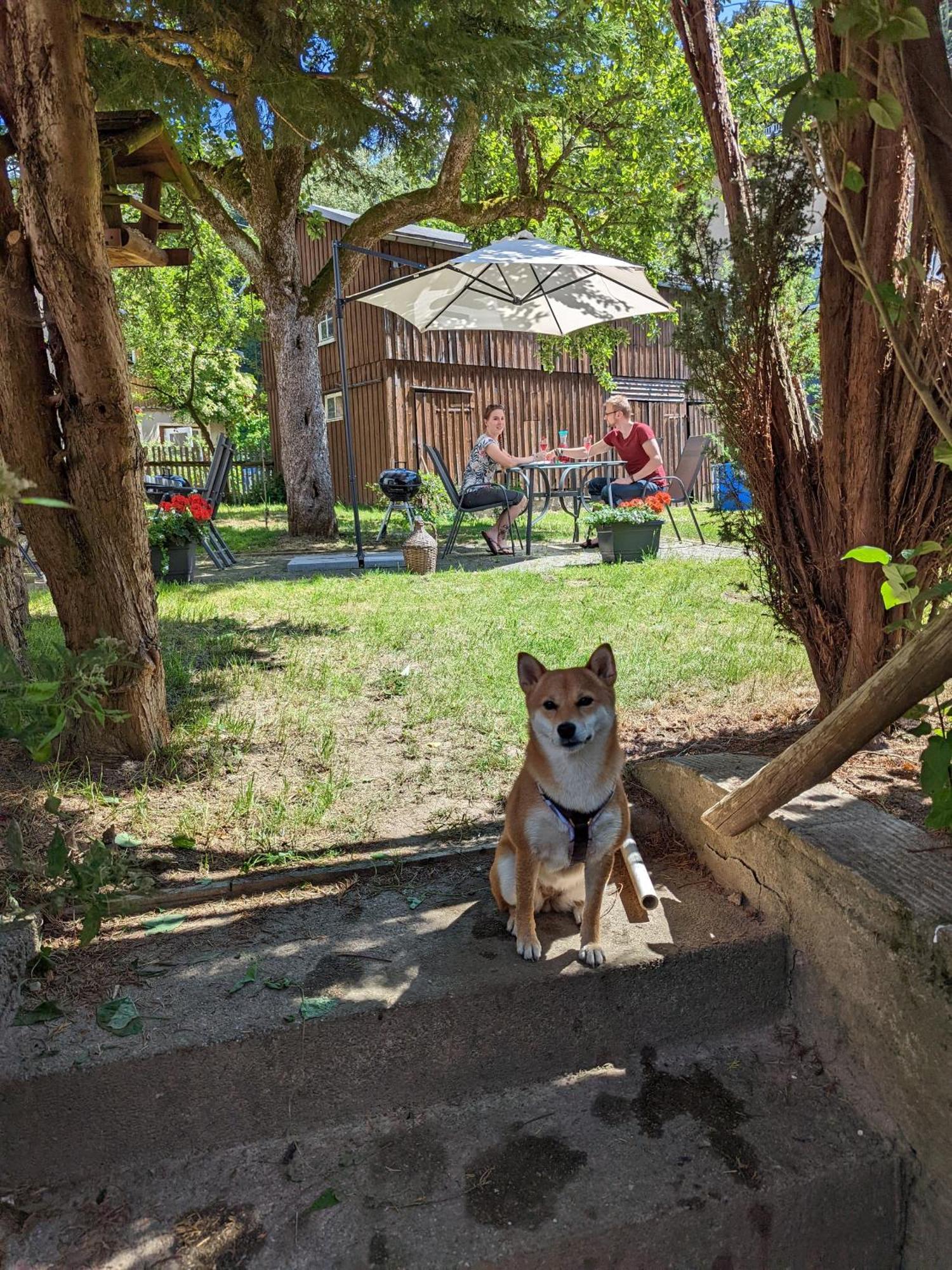 Gemütliche Wohlfühloase mit Pool, Garten &Terrasse - H5 Sebnitz Exterior foto